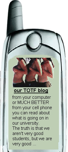 TOTF cellular blog system - Create blog or start blogs service with TOTF